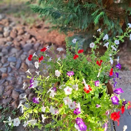דירה Gardenia *