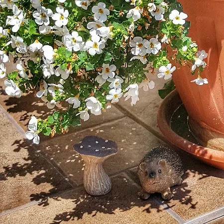 Gardenia شقة