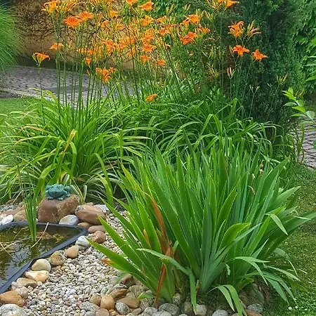 Apartmán Gardenia