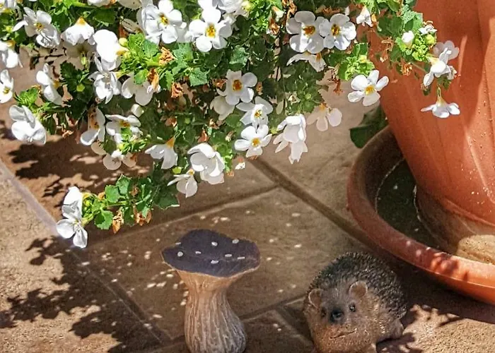Gardenia דירה