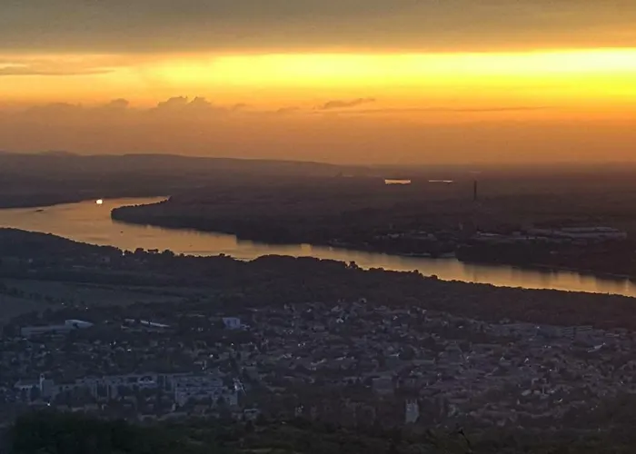 Gardenia * 艾斯特根