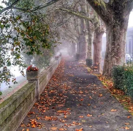 Gardenia 公寓 艾斯特根